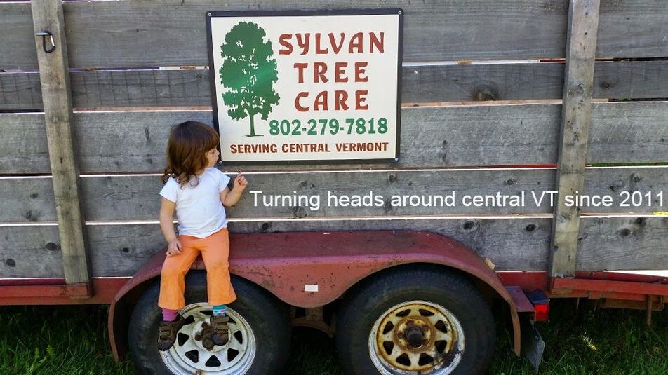 Sylvan Tree Care